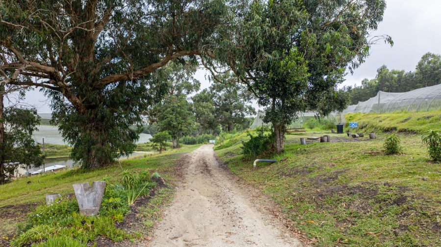 Commercial Property for Sale in Sedgefield Rural Western Cape